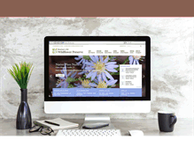 Tablet Screenshot of mcnabbdesign.com